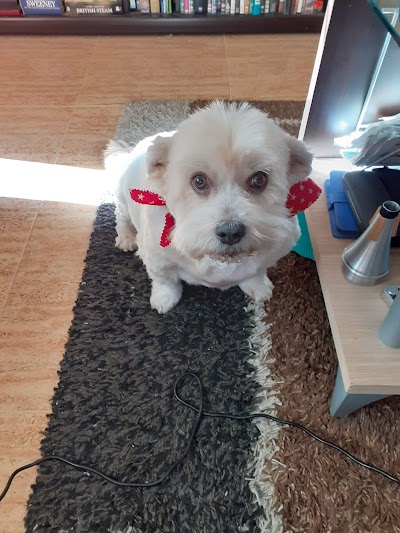 Grooming Van Image