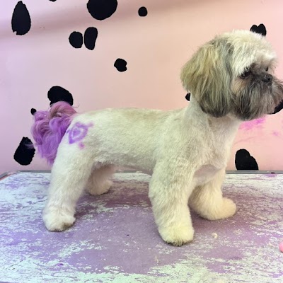Grooming Van Image