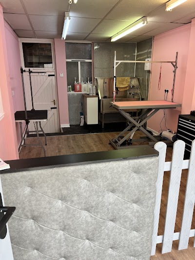 Grooming Van Image