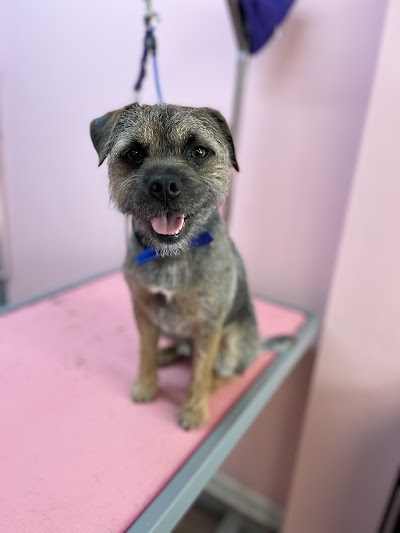 Grooming Van Image