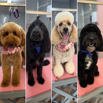Bark and Beauty Dog Grooming