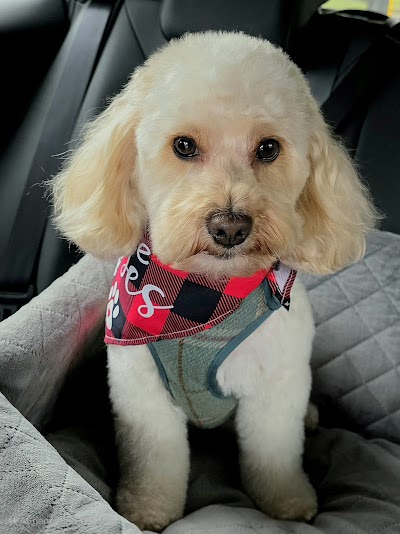 Grooming Van Image