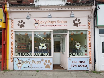 Grooming Van Image
