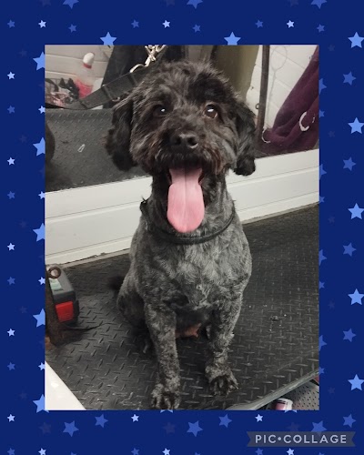 Grooming Van Image