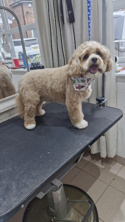 Grooming Van Image
