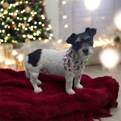 Grooming Van Image