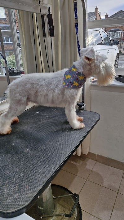 Grooming Van Image