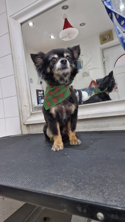 Grooming Van Image