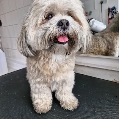 Croxteth Park Dog Groomers