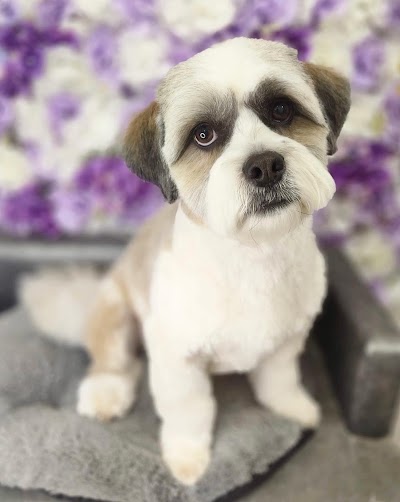 Grooming Van Image