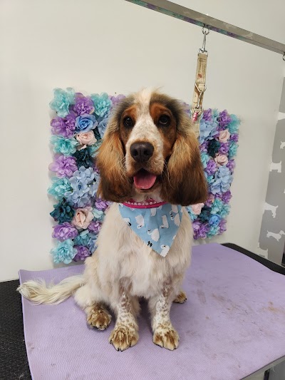 Grooming Van Image