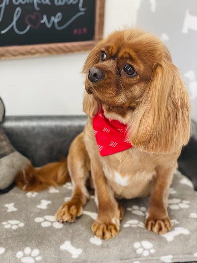 Grooming Van Image