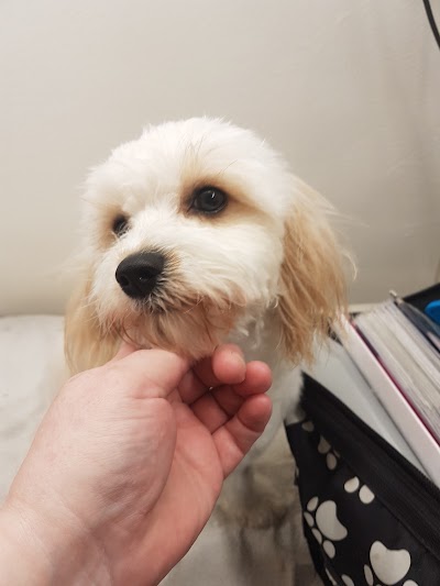 Grooming Van Image