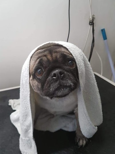 Grooming Van Image