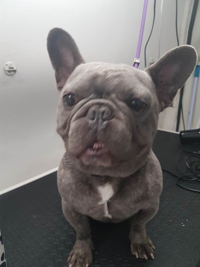 Grooming Van Image