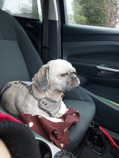 Grooming Van Image