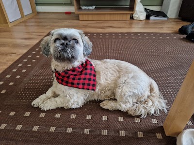 Grooming Van Image
