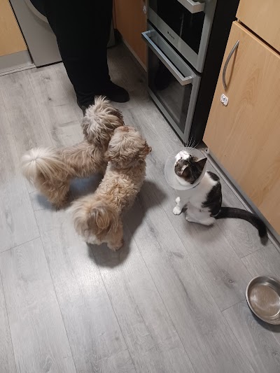 Grooming Van Image