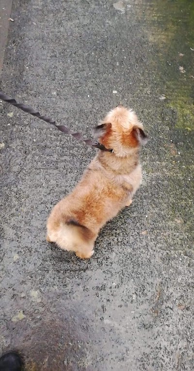 Grooming Van Image