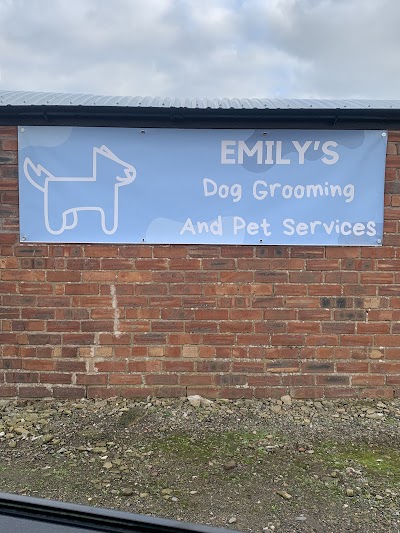 Grooming Van Image