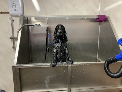 Grooming Van Image