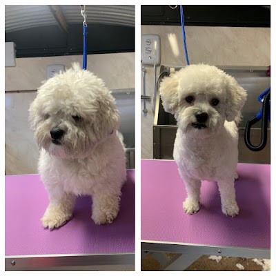 Grooming Van Image