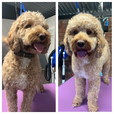 Grooming Van Image