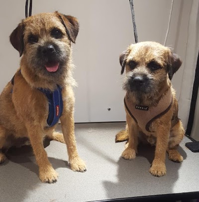 Grooming Van Image