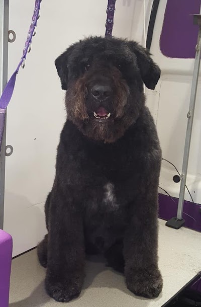 Grooming Van Image