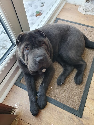Grooming Van Image