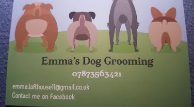 Grooming Van Image