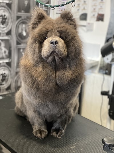 Grooming Van Image