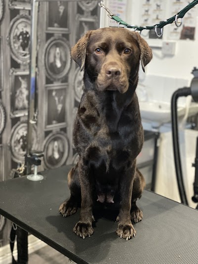 Grooming Van Image