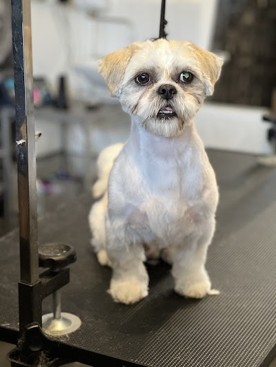 Grooming Van Image