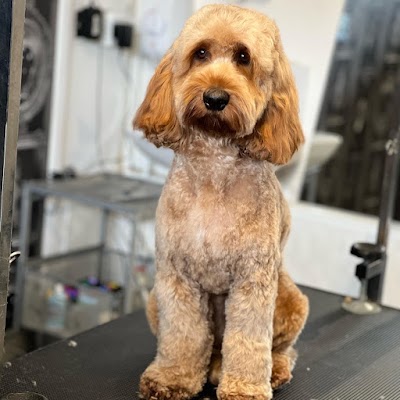 Grooming Van Image
