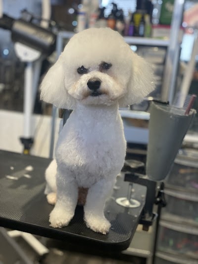 Grooming Van Image