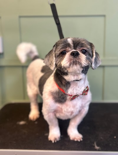 Grooming Van Image