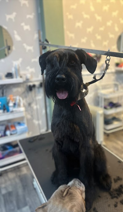 Grooming Van Image