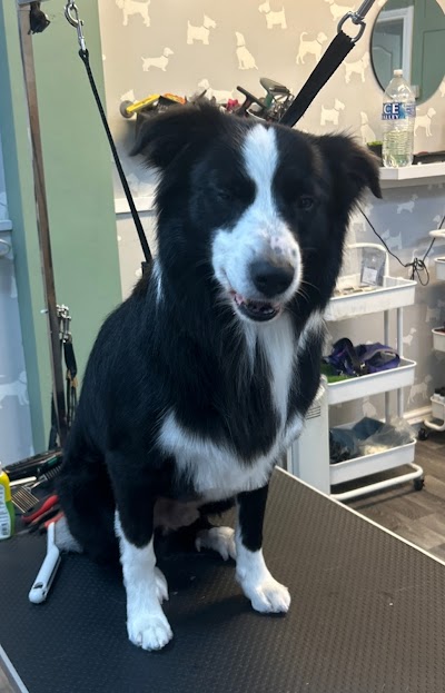 Grooming Van Image