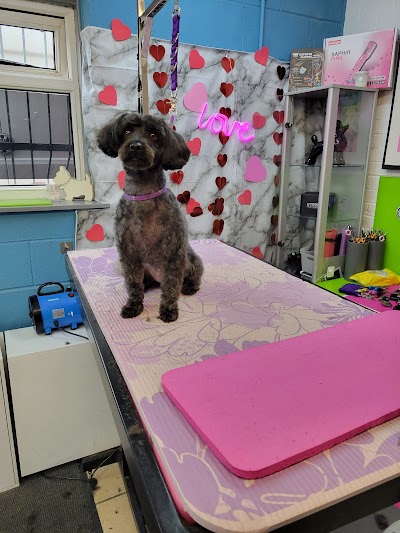 Grooming Van Image