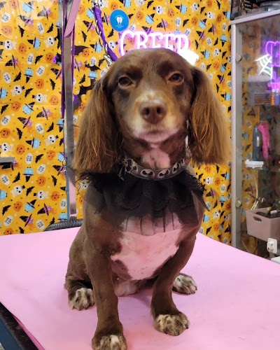 Grooming Van Image
