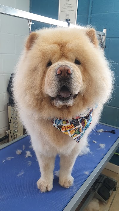 Grooming Van Image