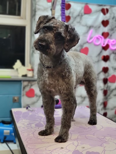 Grooming Van Image
