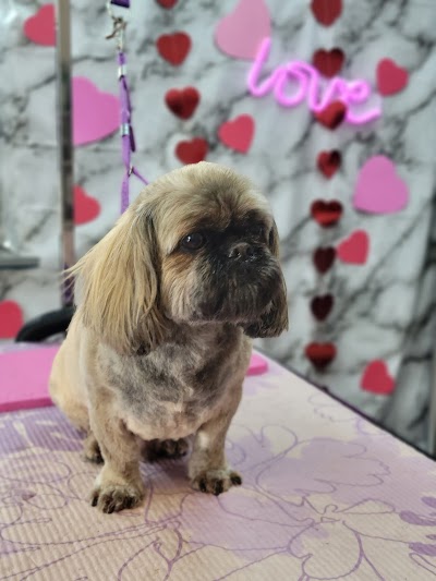 Grooming Van Image