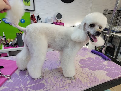Furstyles Pet Grooming & Pet Services by Suzanne