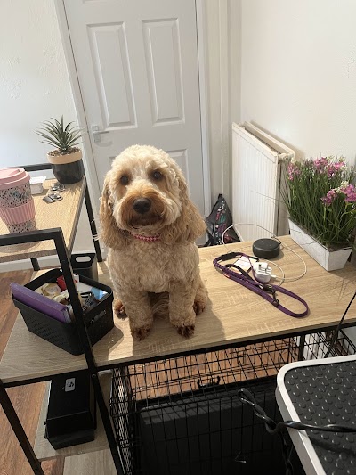 Grooming Van Image