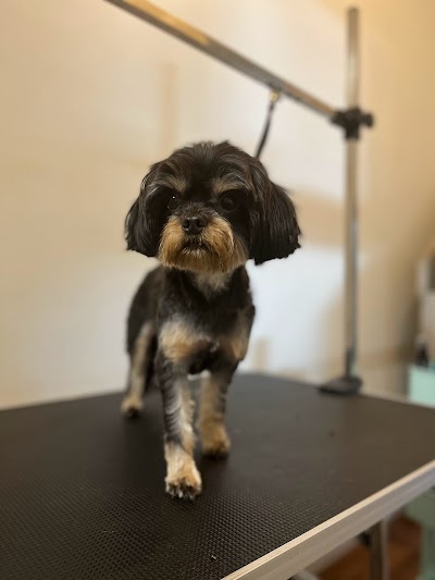 Grooming Van Image