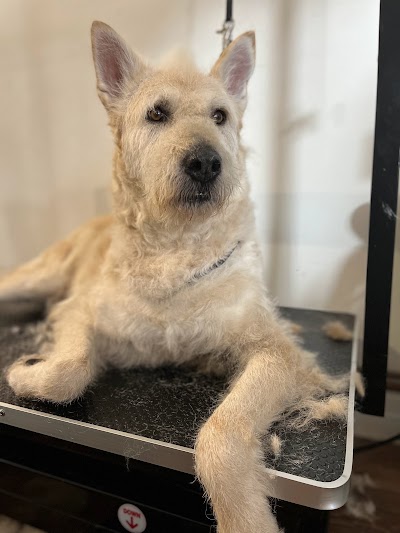 Grooming Van Image