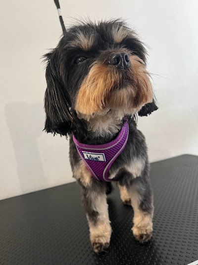 Grooming Van Image
