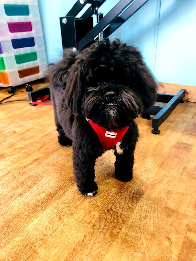 Grooming Van Image